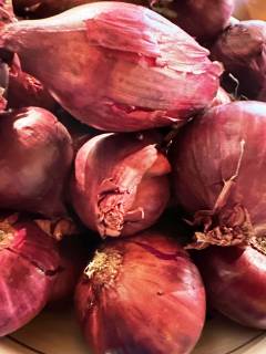 Foto Fucina del Corno (23)
